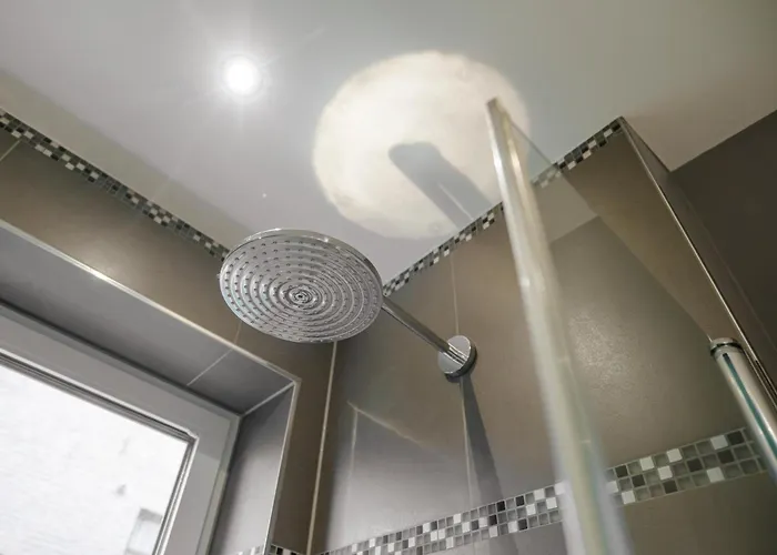 Baltic House Muschel